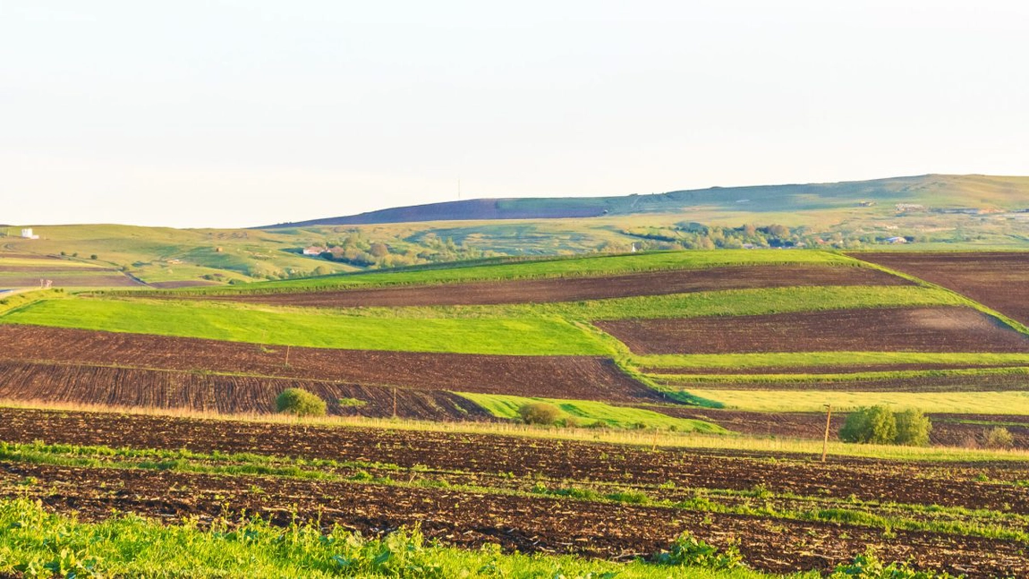 Se schimbă legea proprietății în România! Cetățenii care vor putea solicita până la 50 de hectare de teren! 