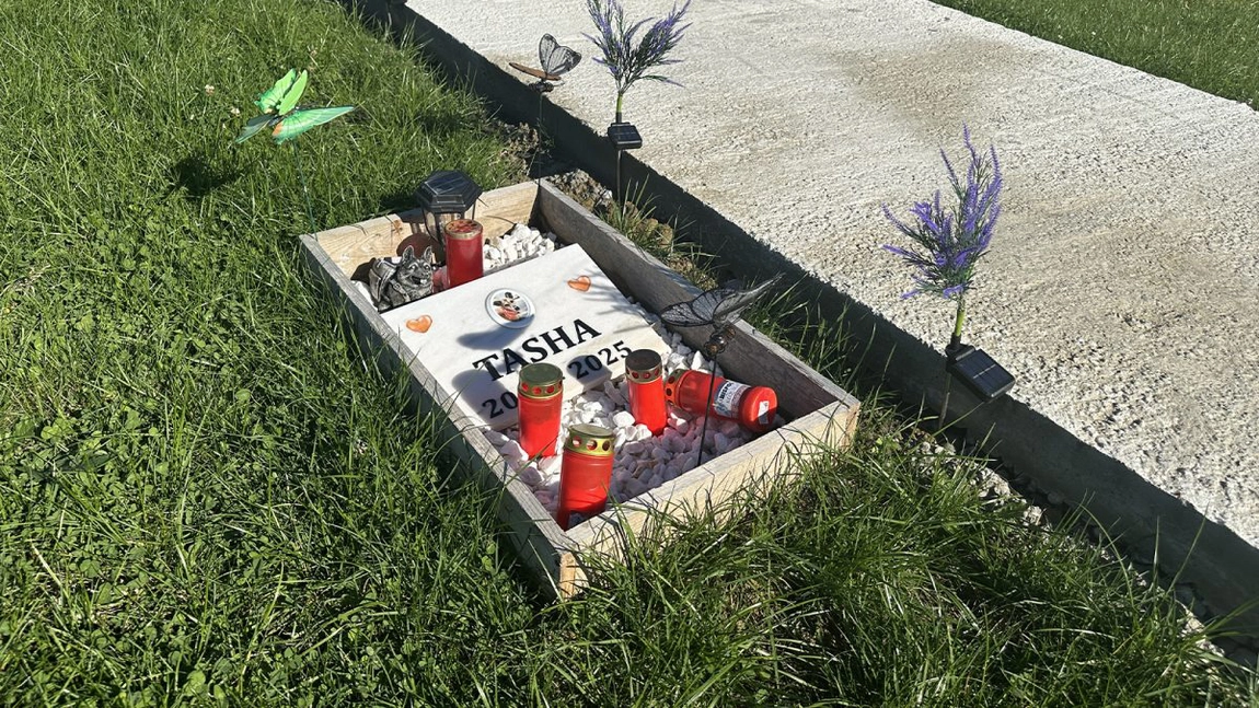 Unul dintre cei mai cunoscuți patroni de pompe funebre a înființat primul cimitir de animale din Iași! De unde i-a venit această idee: „Când aveam 5 ani, mi-am îngropat o gâscă pletoasă și mi-a rămas în minte”