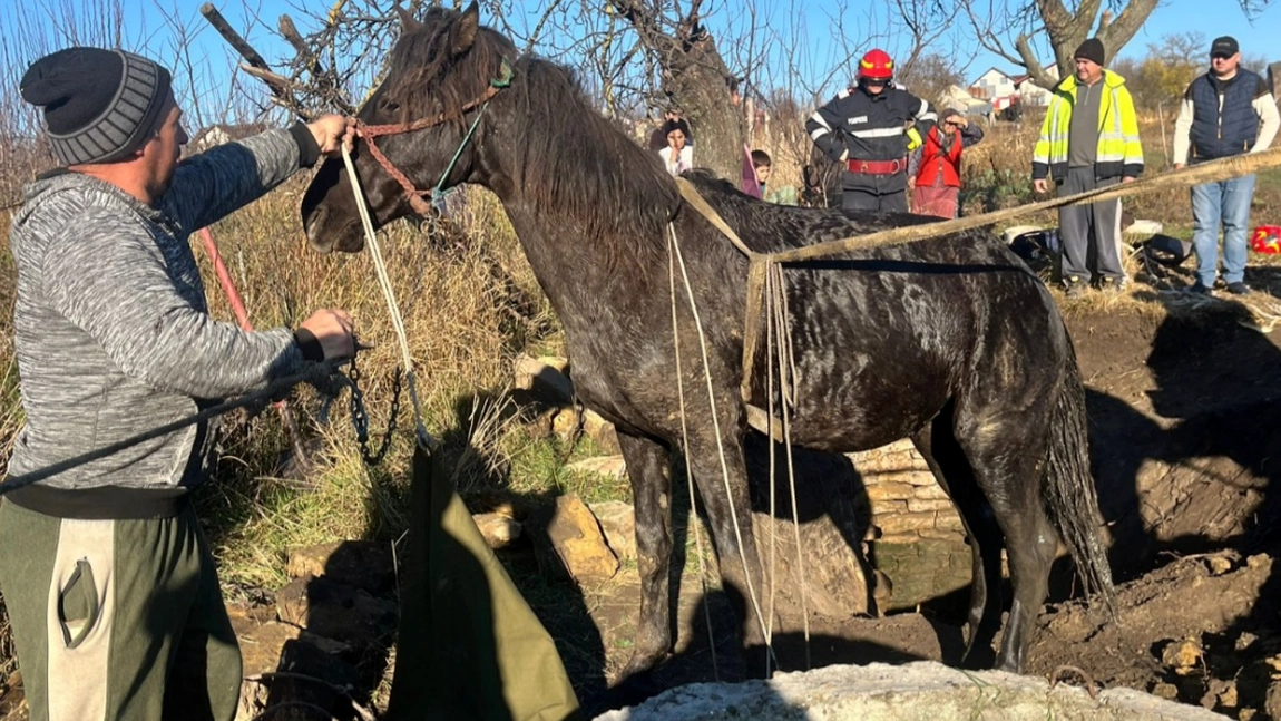 Operațiune spectaculoasă la Balș! Pompierii au salvat un cal căzut într-un puț adânc