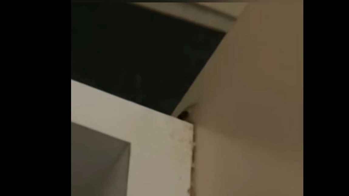 Sistemul medical din România! Imagini cu gândaci în grupurile sanitare de la Secţia Urologie