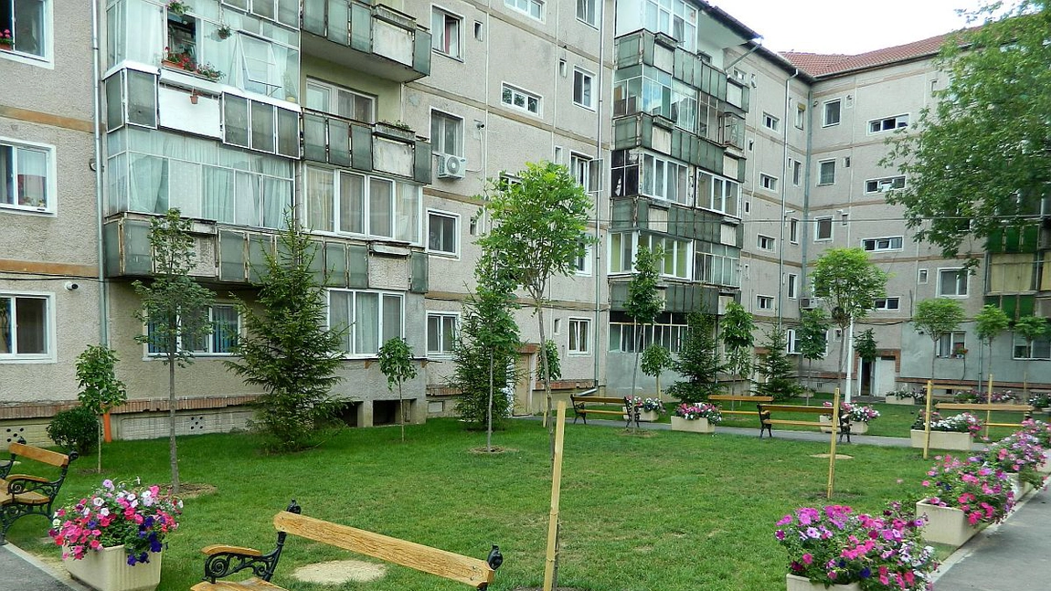 Se schimbă regulile privind îngrijirea spațiilor verzi din jurul blocurilor! Anunț de la primărie!