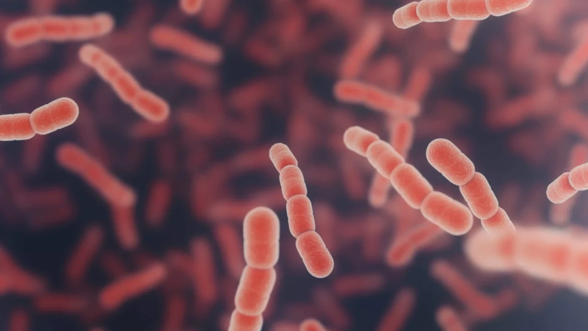 Tratament naturist pentru Klebsiella – Iată cum poți elimina bacteria eficient acasă