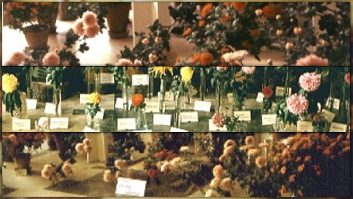 Imagini de colecție de acum 50 de ani! Acest loc este una dintre cele mai vizitate atracții din România