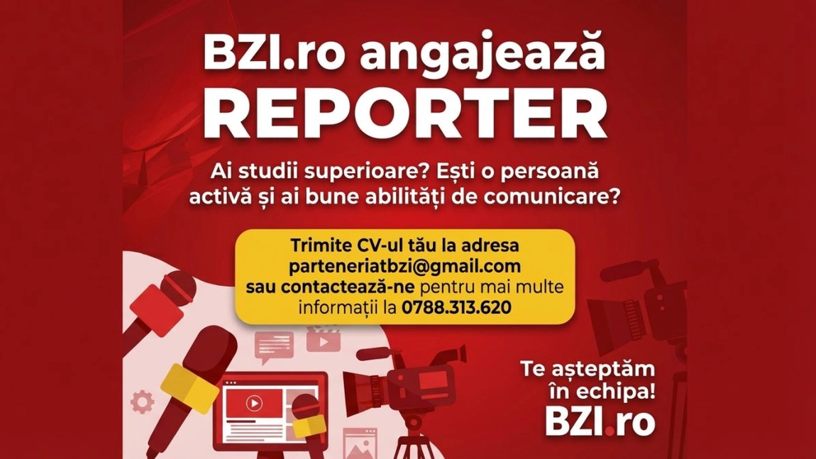 BZI.ro angajează reporter