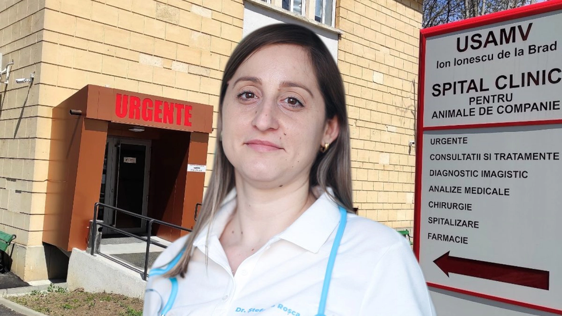 În această perioadă, numărul animalelor de companie care ajung la urgențe crește. Medicii avertizează că resturile de pe masa de sărbători sunt periculoase pentru patrupezi