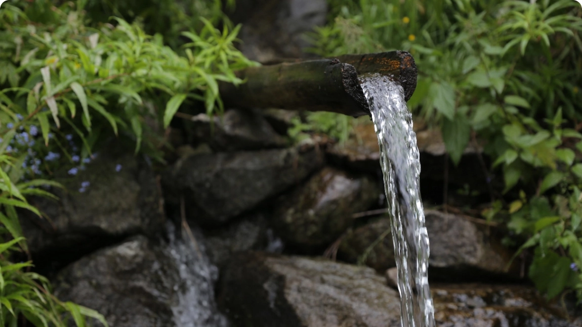 Vrei să știi care este cea mai sănătoasă apă plată din România? Adevărul din spatele etichetelor și al mineralelor!