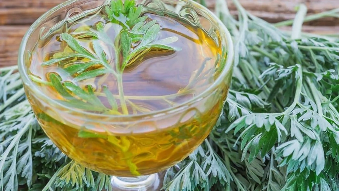 Ce beneficii are ceaiul de pelin pentru zona genitală? Află cum se utilizează corect!