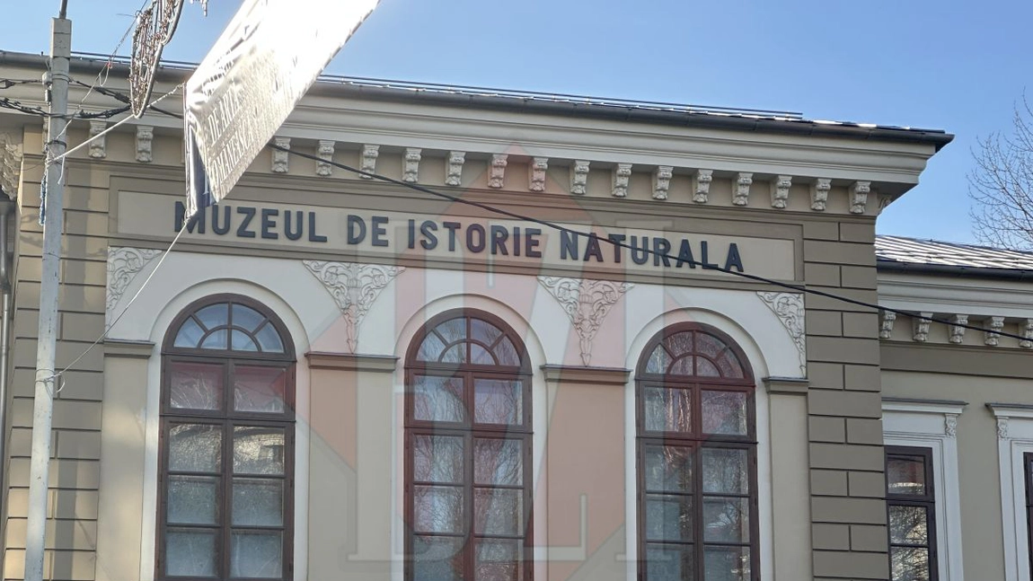 Continuă amenajarea Muzeului de Istorie Naturală UAIC din Iași. Redeschiderea, amânată până la finalul anului 2026