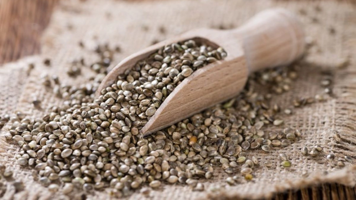 Cum să folosești semințele de cânepă în bucătărie. Iată care sunt modurile de consum!