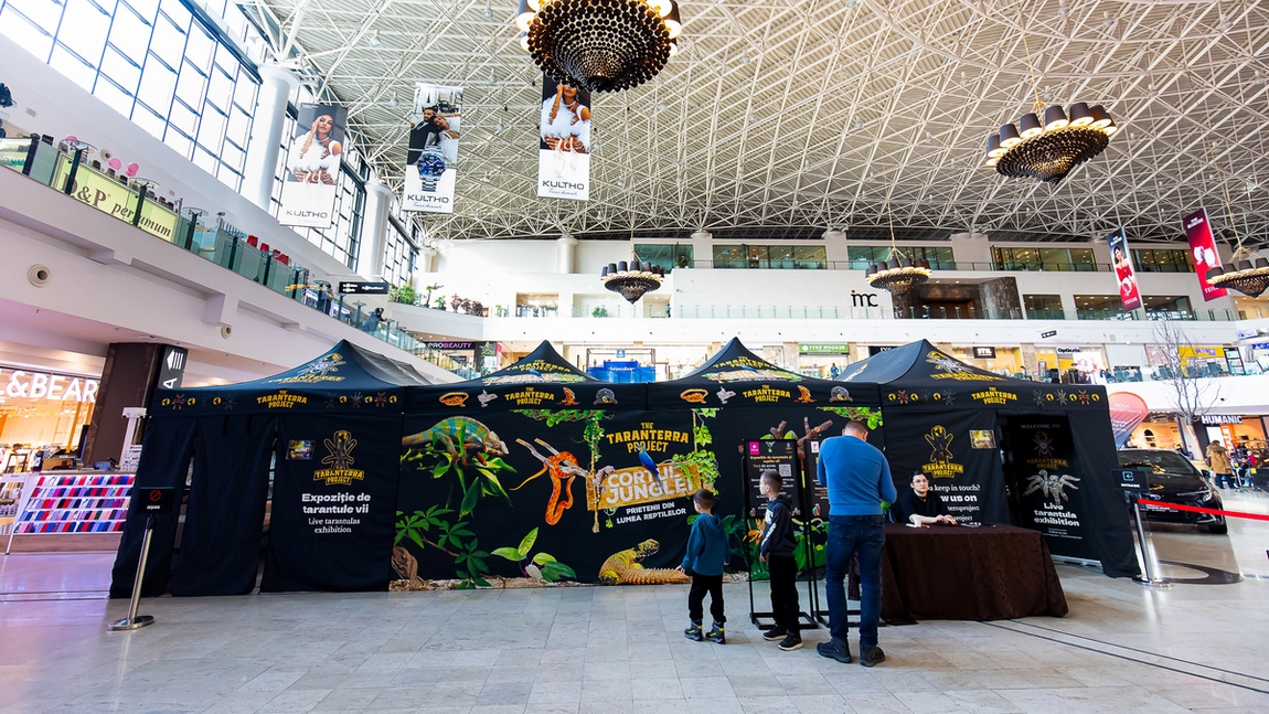 „Expoziția Educativă de Tarantule și Reptile Vii” revine la Palas cu exemplare spectaculoase