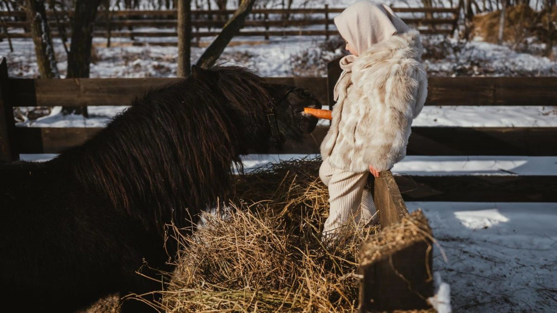 Absolvent USV Iași, creatorul unui colț de copilărie în Botoșani. La Ferma Smărăndiței copiii cresc printre animale și natură