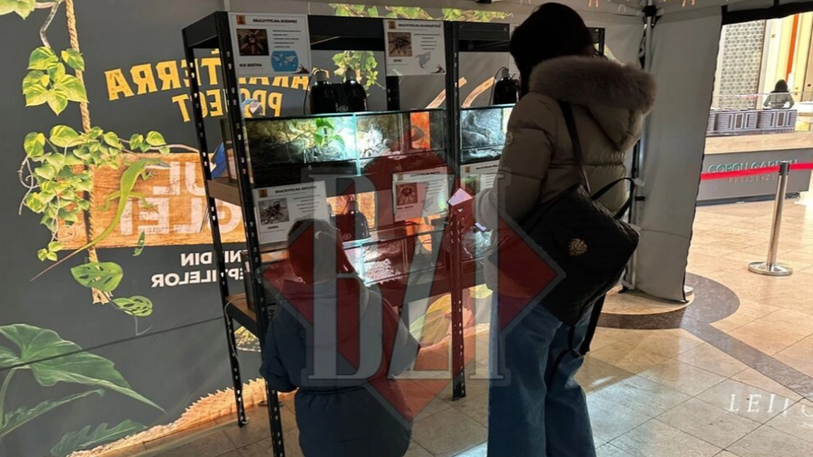 Expoziție cu reptile și arahnide la Palas Mall Iași Peste 70 de exemplare vii, aduse în fața publicului