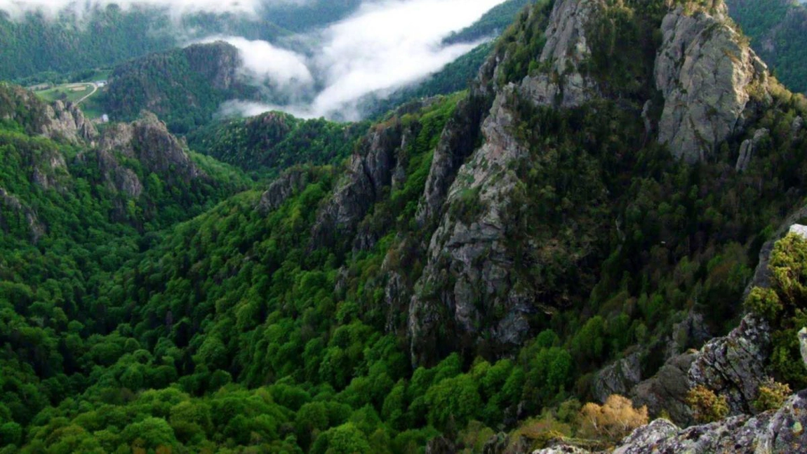 Vârful Cozia. Iată ce trebuie să știe iubitorii de munte despre acest masiv