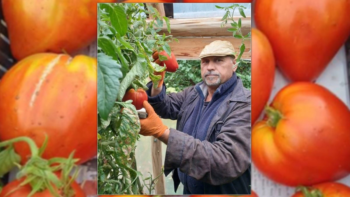 Povestea de succes a lui Vasile Preutescu, legumicultorul din Iași care aduce pe mesele clienților roșiile copilăriei. Nimeni nu își imaginează de unde ia semințele. „E vorba de sănătate, fizică și mentală”