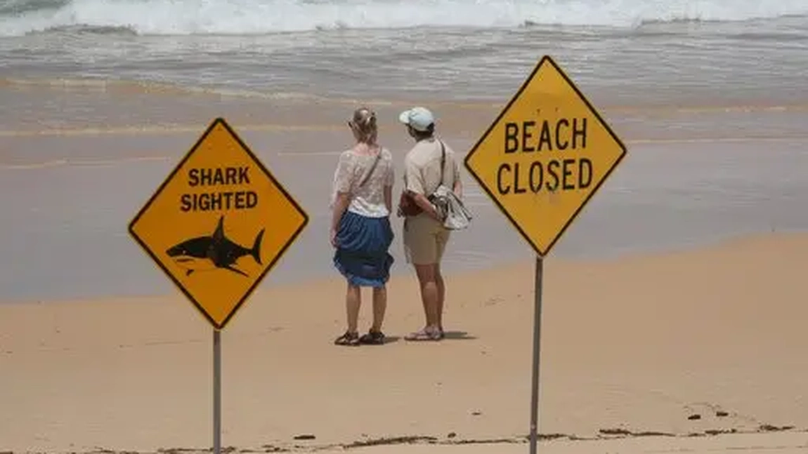 Teroare pe coasta Australiei! Patru victime în doar 48 de ore după atacurile rechinilor
