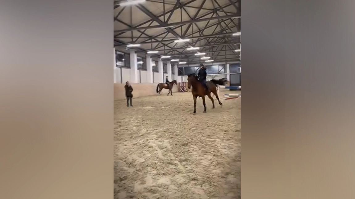 Antrenamentele hipice continuă la USV Iași, în manegoul acoperit, înainte de competiția internațională CSI Băicoi