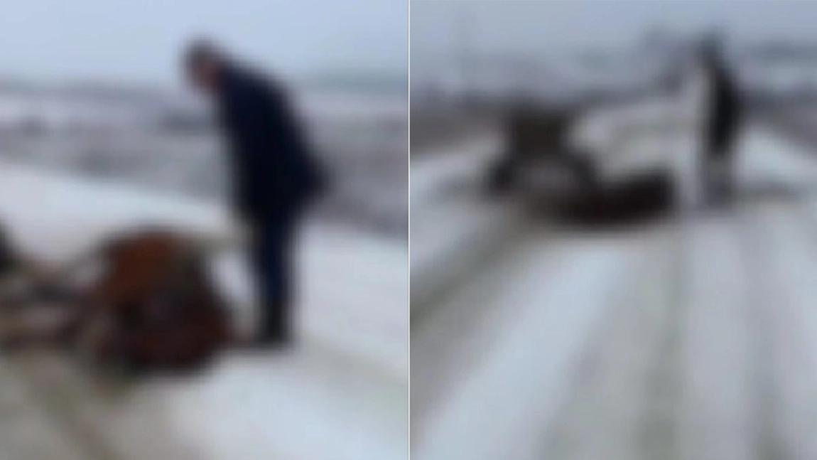 Un cal a fost lovit brutal de stăpân după ce a căzut la pământ și nu mai avea putere să se ridice. Imaginile cumplite au fost surprinse într-un sat din Iași