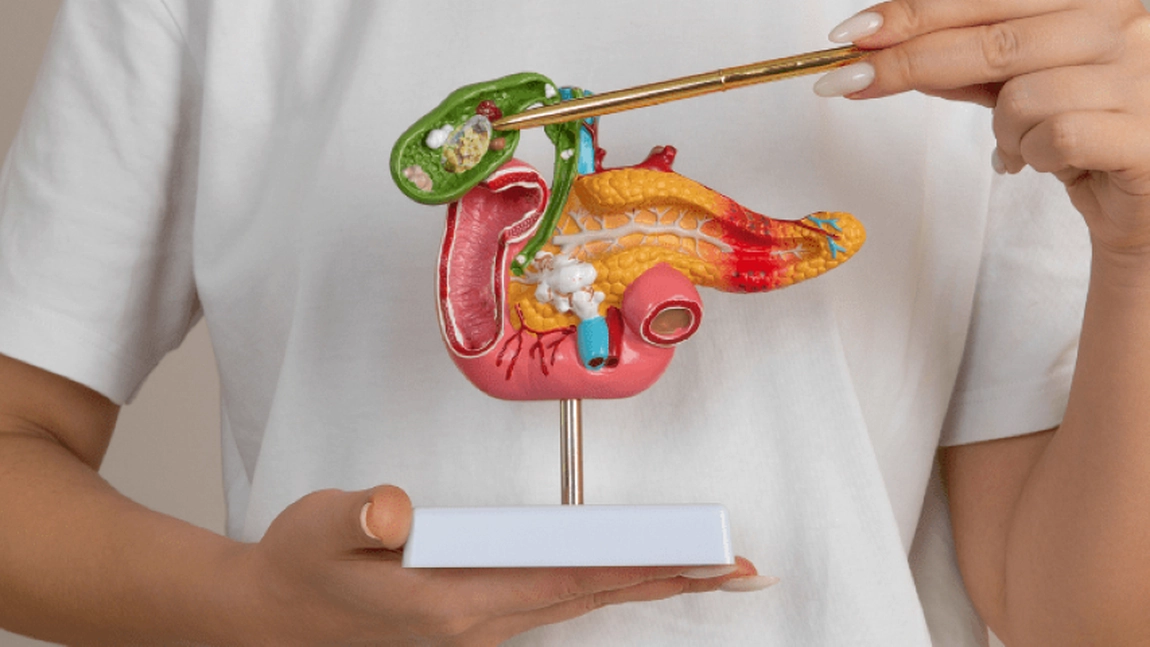 Ce este colecistul? Iată când se recomandă extirparea lui și cine îi preia funcțiile!