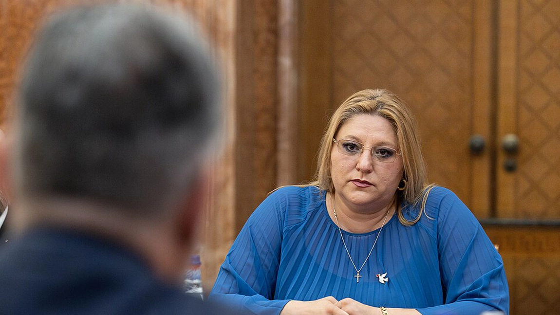 Audieri publice la Parlament privind anularea alegerilor: Diana Șoșoacă, invitată de Laura Gherasim, preşedinte al Comisiei pentru cercetarea abuzurilor, corupției și pentru petiții 