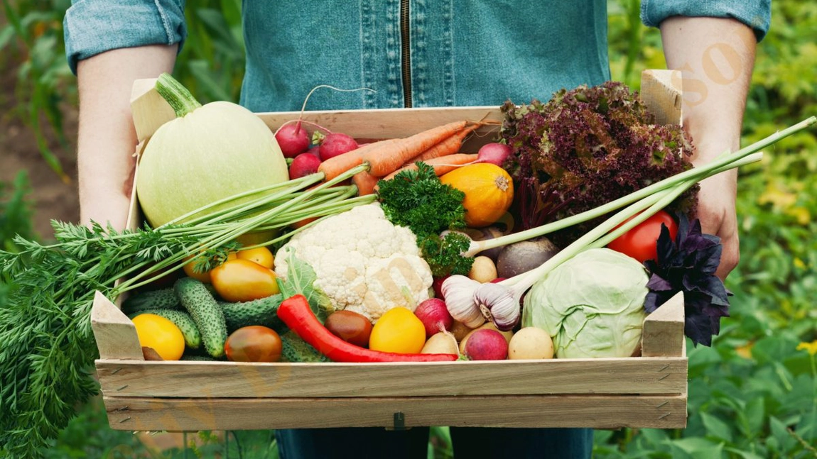 Micii fermieri cer subvenții mai mari pentru 2026: 2,5 euro/mp pentru legumele cultivate în spații protejate