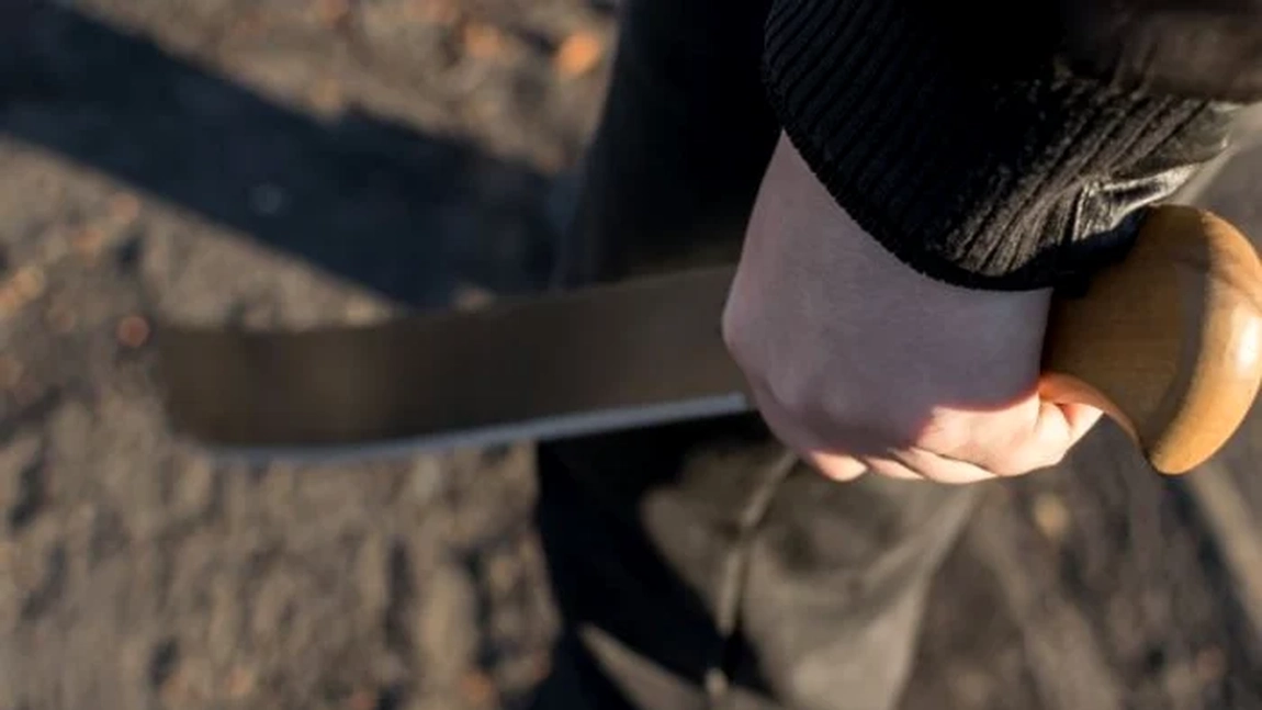 Scenă terifiantă în toaleta liceului! Minor aflat sub control judiciar atacă un coleg cu maceta