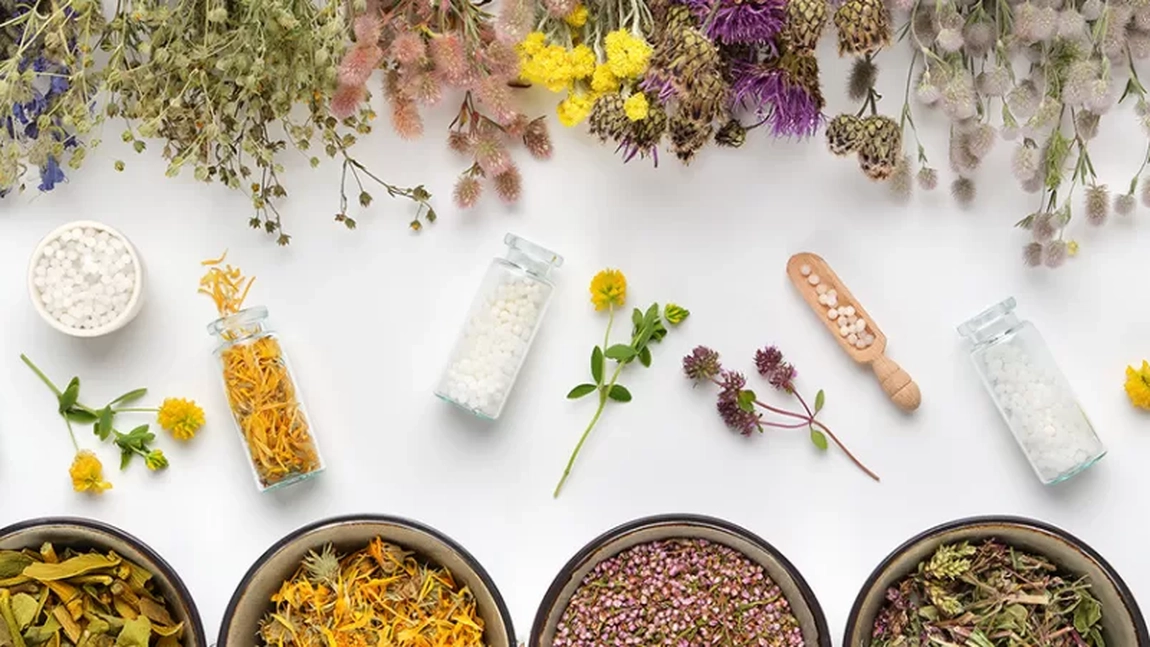 Plante tămăduitoare. Află cât de benefice sunt acestea!