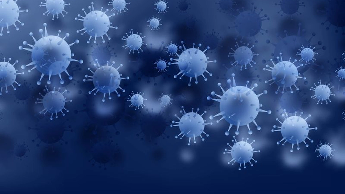 Medicii, în alertă, după apariția unui nou virus, transmis de lilieci. Are aceleași simptome ca virusul Nipah