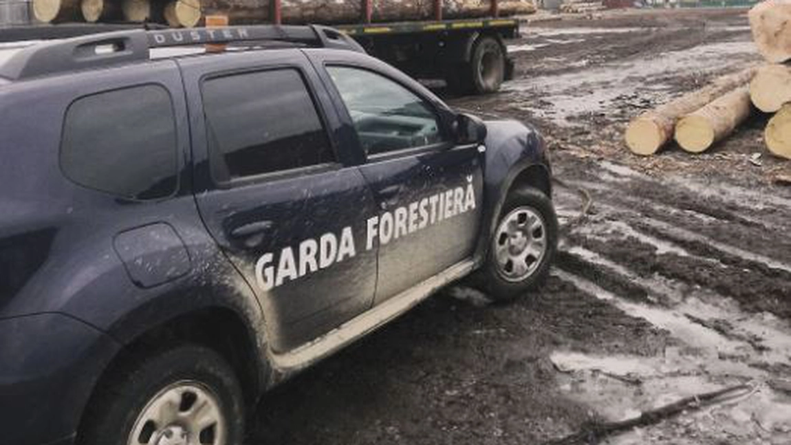 Activitatea Gărzii Forestiere Suceava în luna decembrie 2025