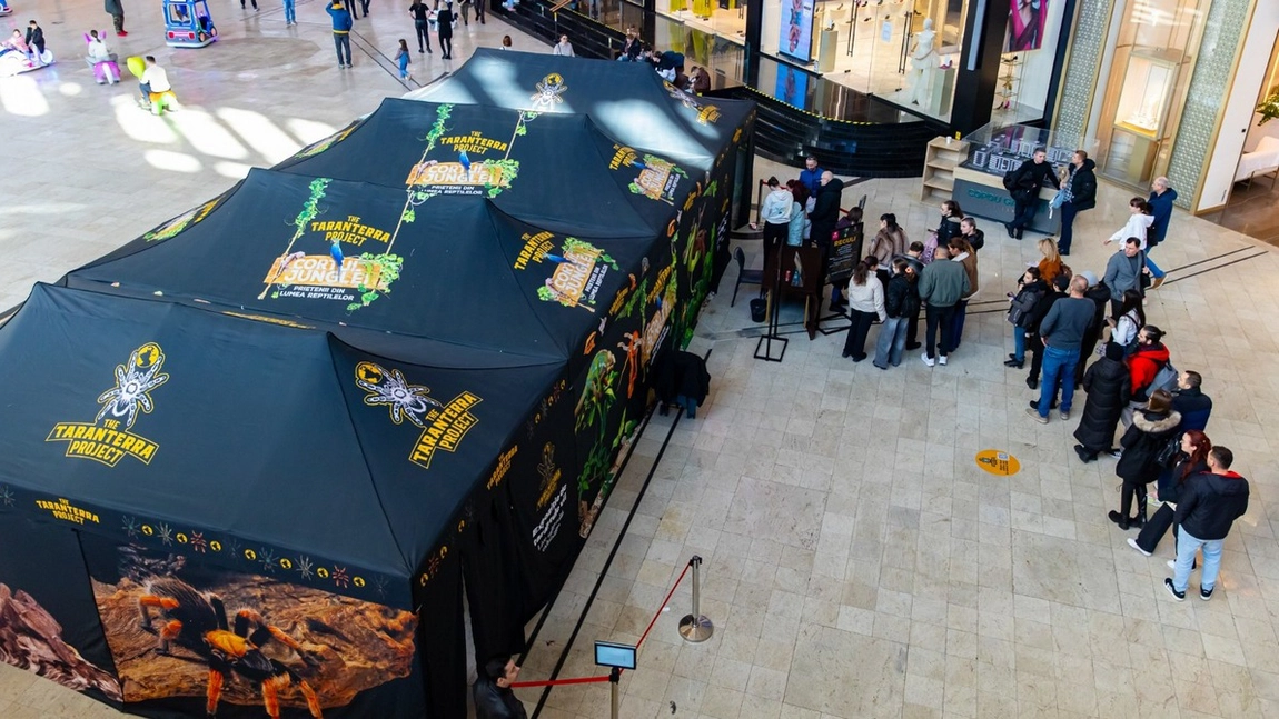 Spectacol captivant pentru toată familia la Taranterra. Joi, vino să vezi live cum sunt hrănite tarantulele și reptilele!