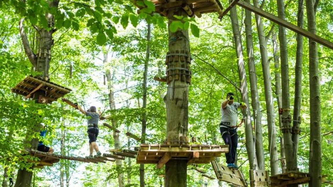 Ce poți face în cunoscutul parc de aventură din Brașov? Iată ce activități în aer liber te așteaptă!