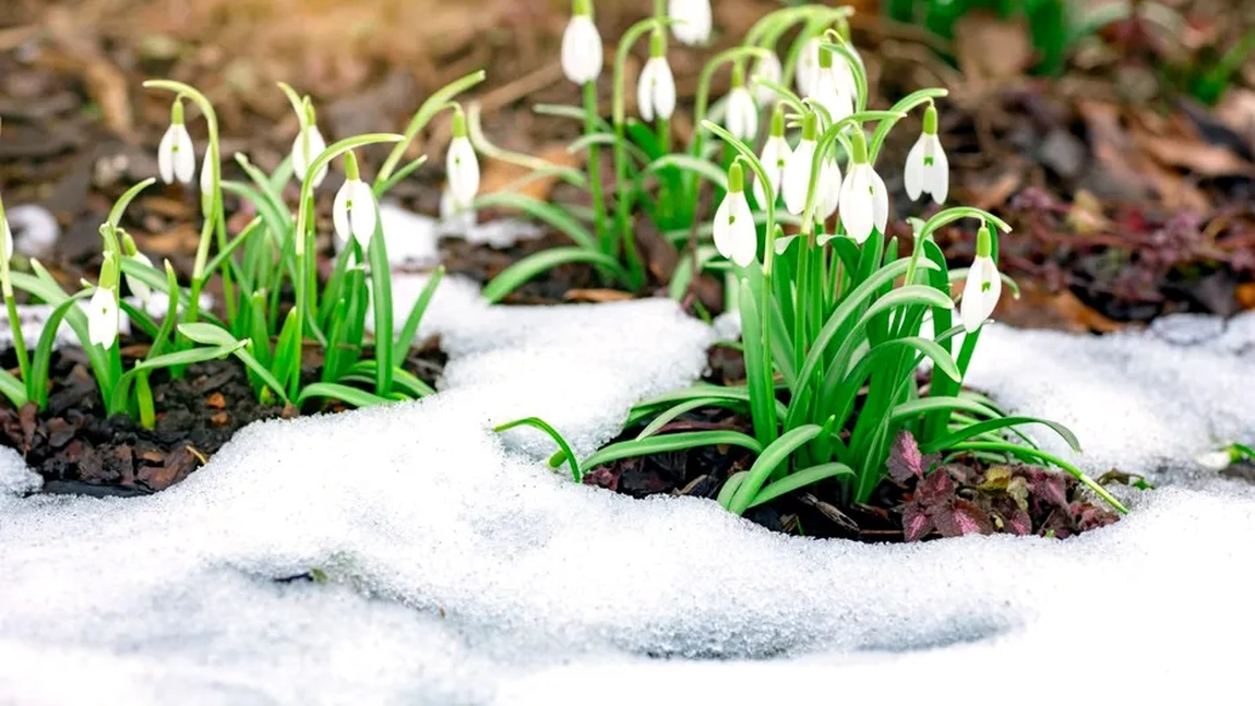 Iată cum se prezintă vremea în luna martie! Se anunță un început de primăvară rece și instabilă în România!