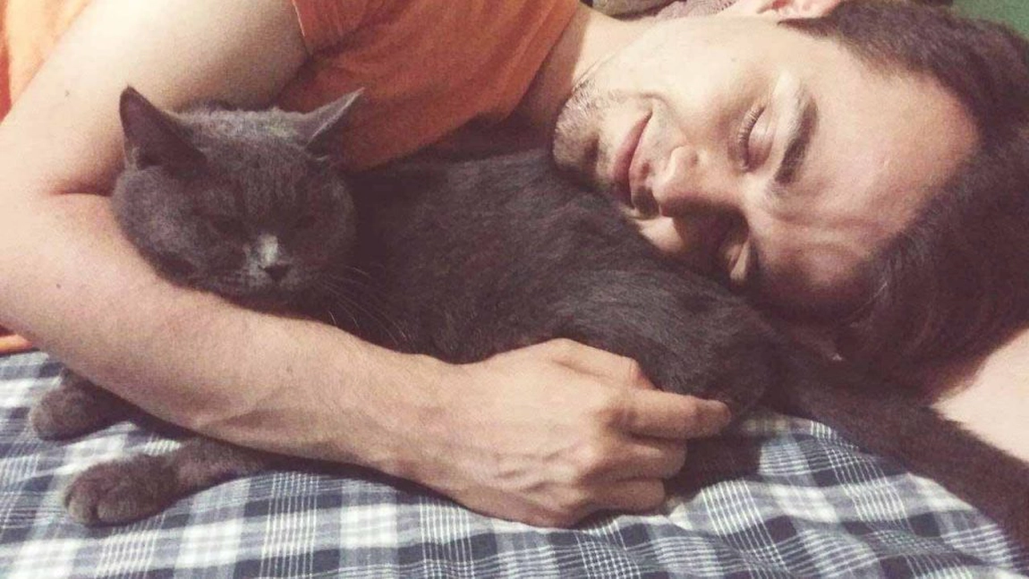 Ce înseamnă când visezi pisici în casă? Este acesta un semn de noroc sau de ghinion?