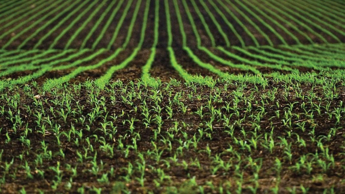 Credit pentru investiții agricole. Iată de ce este o soluție potrivită pentru fermieri!