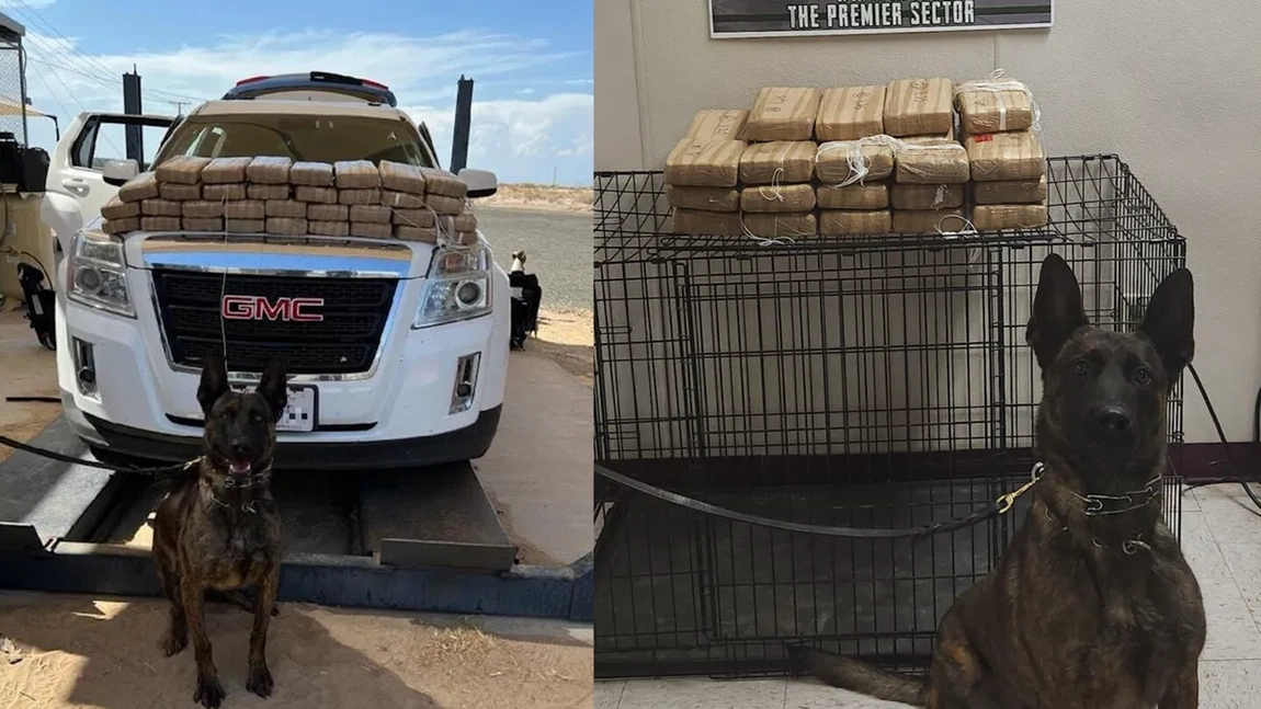 Român prins cu 15 kilograme de cocaină, condamnat la 17 ani de închisoare în Malta