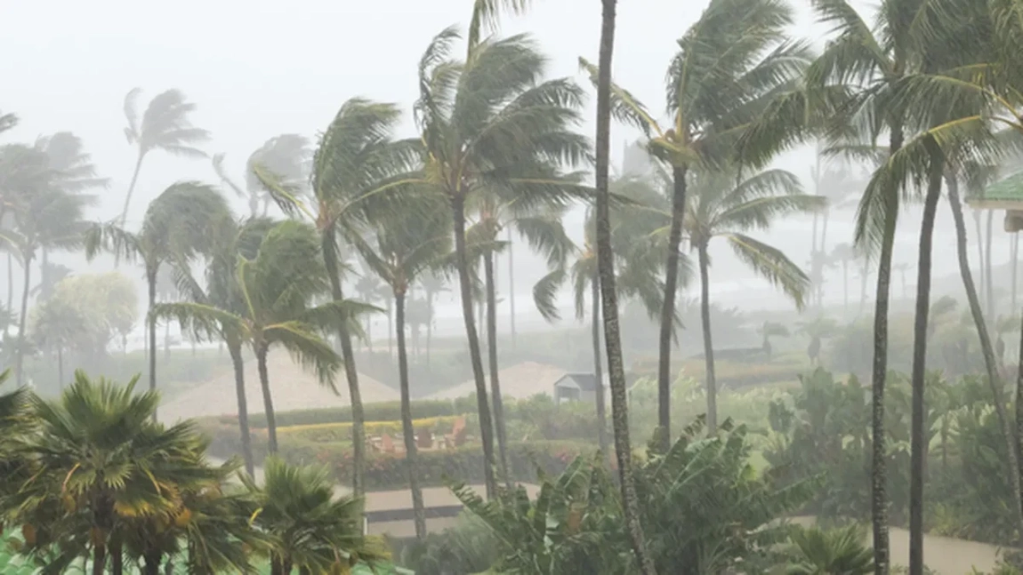 Bilanț dramatic după furtuna care a lovit Franța: un mort și 850.000 de gospodării fără energie electrică