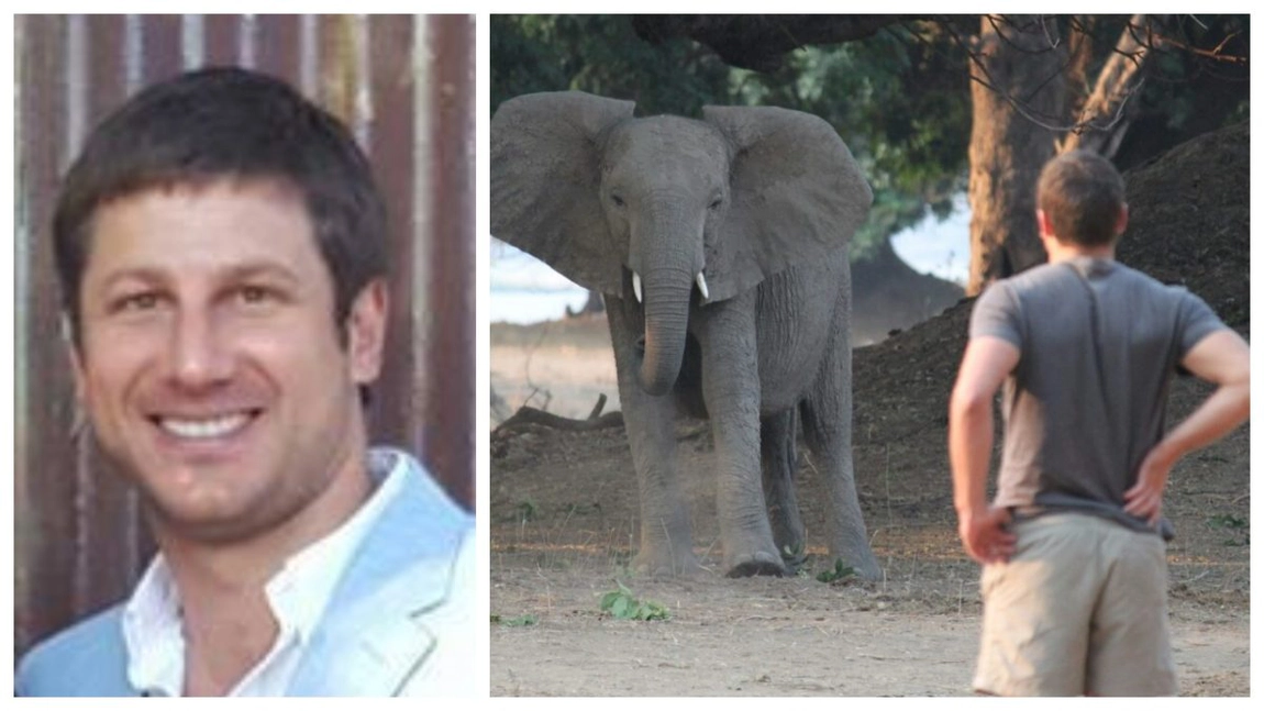 Milionar ucis de un elefant în propria rezervație de lux din Africa de Sud