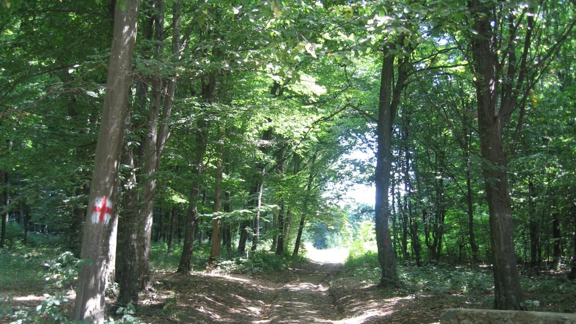 Bârnova, la răscruce de istorie! Demers oficial pentru readucerea în patrimoniul local a terenului destinat Ansamblului Memorial Internațional al Eroilor