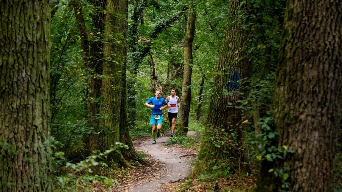Pădurea Verde din Timișoara este tot mai aproape de a deveni parc! Iată ce trebuie să știi despre aceasta!