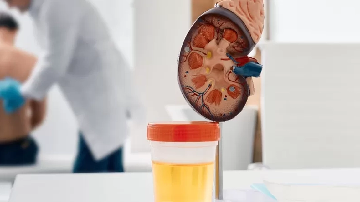 Rata filtrării glomerulare scăzută, tratament. Iată ce înseamnă, de ce apare, dar și ce opțiuni de gestionare există!