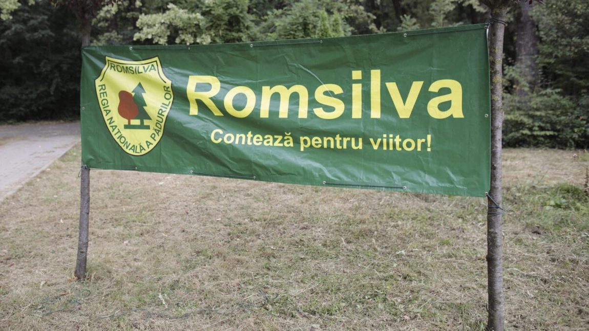 Romsilva câștigă definitiv procesul pentru 43.227 hectare de pădure din Bacău. Suprafețele rămân în proprietatea statului