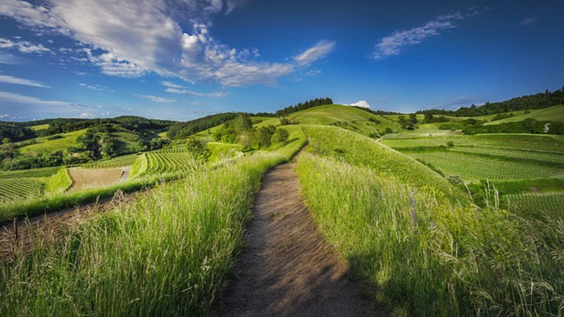 O tânără din Iași a fost la un pas să rămână fără terenul primit drept moștenire. A primit un mesaj pe e-mail de la o persoană necunoscută, care a pus-o pe gânduri  