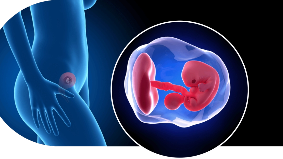 Valori Beta hCG în 2 săptămâni de sarcină. Află ce reprezintă hormonul, dar și ce rol are!