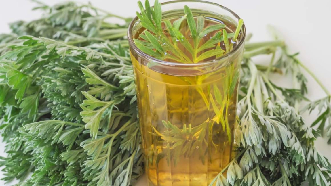 Ceaiul de pelin este bun pentru ficat? Iată ce boli vindecă și cum poate ucide!