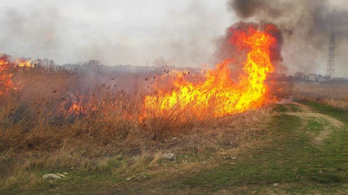 Tot mai multe incendii de vegetație în județul Iași! Pompierii au, zilnic, intervenții de stingere