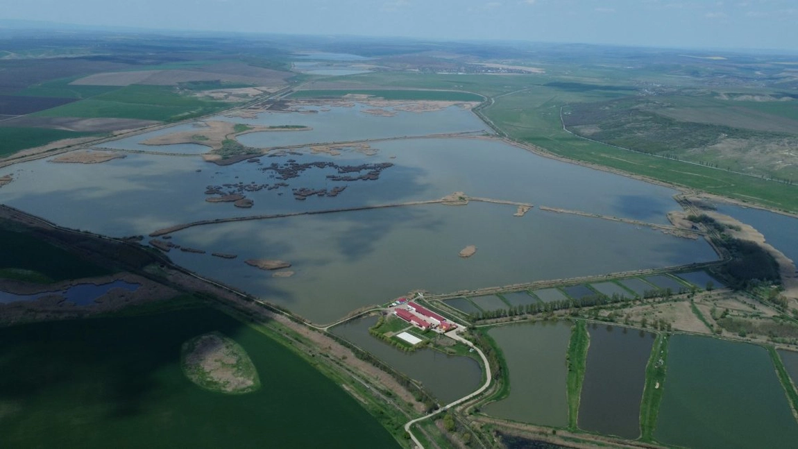 Braconierii provoacă intenționat incendii ca să poată fura peștele din fermele piscicole? Ultimul incendiu din Delta Moldovei a distrus 20 de hectare de vegetație. „Sunt riscuri pentru noi”