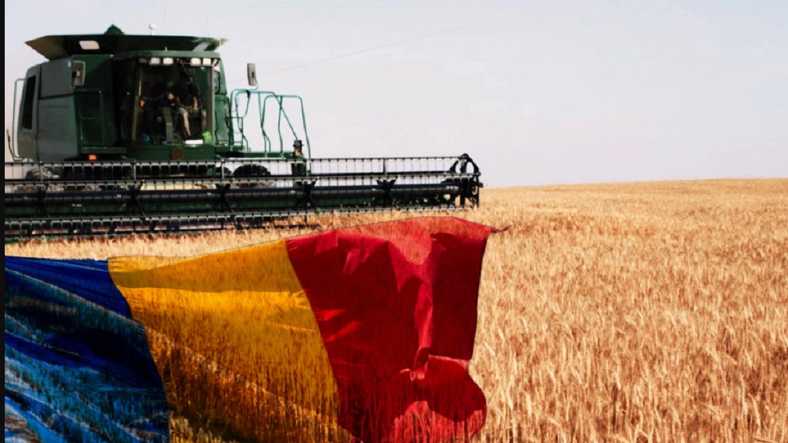 România, fostul „grânar al Europei”, a ajuns să importe până și semințele de grâu. Cercetarea și investițiile, ignorate