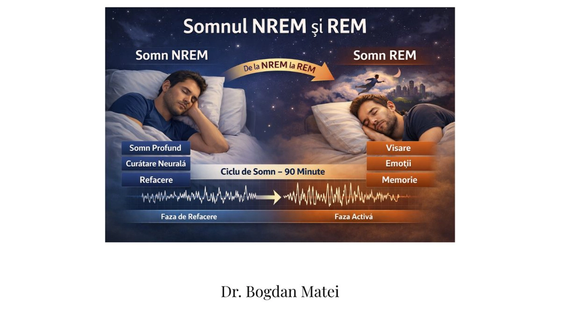 Biologia somnului (VII): Somnul NREM & REM