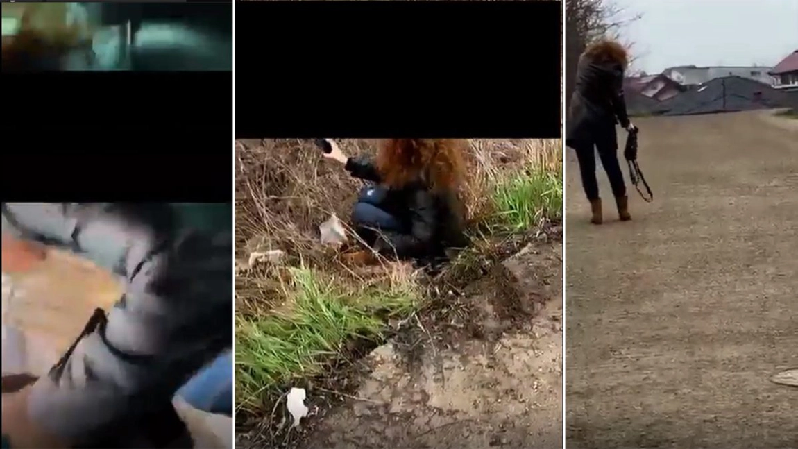 Incident șocant în Iași: pasageră rănită după ce a coborât din mers dintr-o mașină de transport alternativ