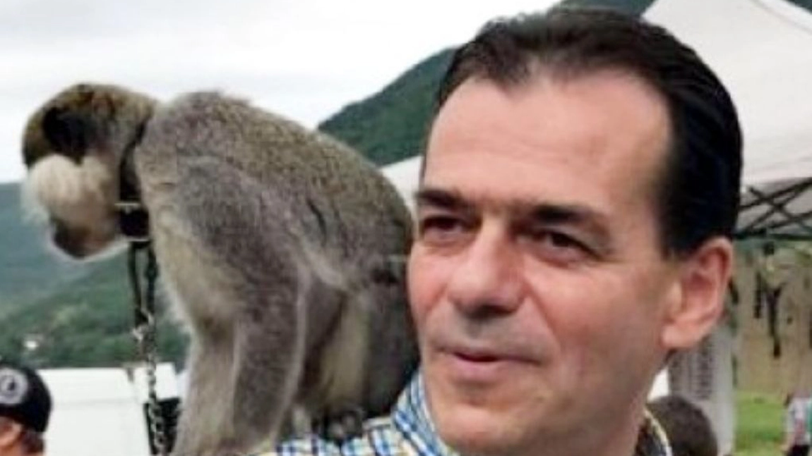 PSD a depus plângere penală împotriva lui Ludovic Orban! Sunt vizate despăgubirile de peste 900 de milioane de lei plătite fraților Micula!