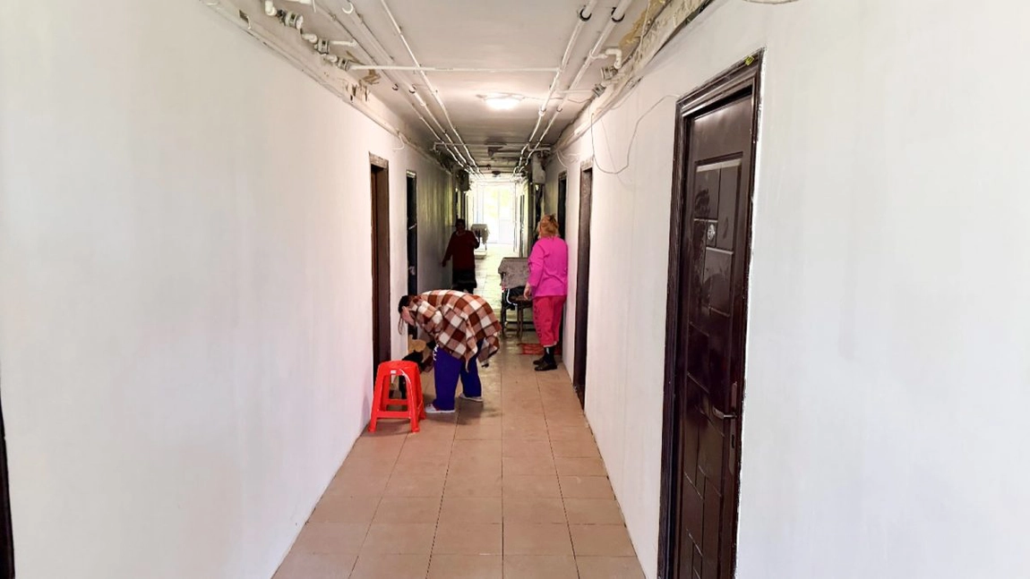 Coșmar pentru locatarii din căminul social Canta din Iași! Camerele sunt infestate din nou cu gândaci și ploșnițe după ce primăria a început renovarea